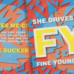 Fine Young Cannibals – She Drives Me Crazy