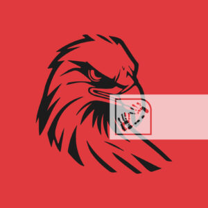 Αετός Ψηφιακό Προϊόν