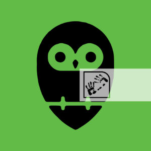 Αντικείμενο Γλαύκα Ψηφιακή Λήψη