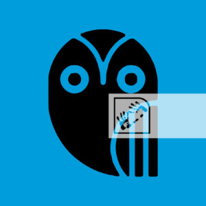 Αντικείμενο Ψηφιακή Λήψη Κουκουβάγια