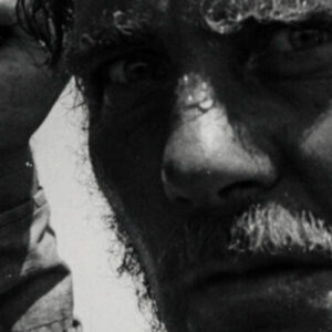 Αφίσα Ρόμπερτ Σο Τα σαγόνια του καρχαρία