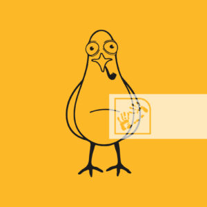 Γλάρος Σχήμα