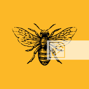 Γραφικό Αντικείμενο Μέλισσα