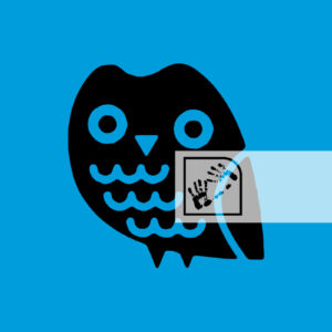 Κουκουβάγια Αντικείμενο Ψηφιακό