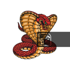 Κόμπρα Φίδι