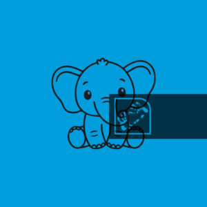 Παιδικό Σχέδιο Ζωάκια