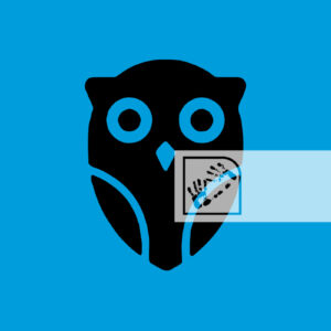 Ψηφιακό Γραφικό Αντικείμενο Κουκουβάγια