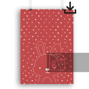 Ψηφιακό Προϊόν Κουνέλι και Αστέρια